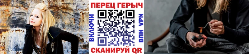 Купить закладки  Волгореченск  ГЕРОИН Афган 