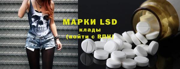 ГАЛЛЮЦИНОГЕННЫЕ ГРИБЫ Коряжма