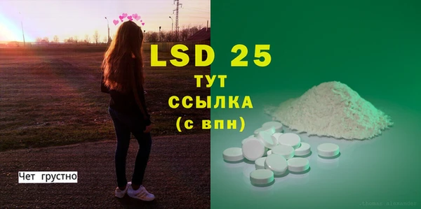 ГАЛЛЮЦИНОГЕННЫЕ ГРИБЫ Коряжма