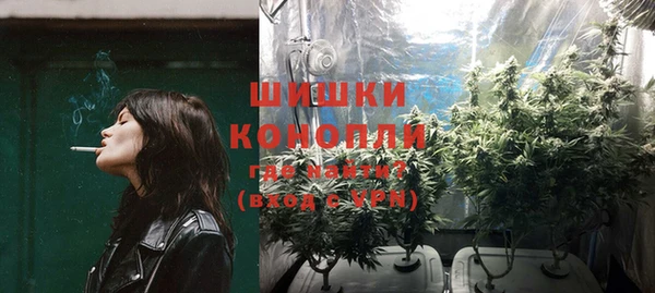 бошки Корсаков