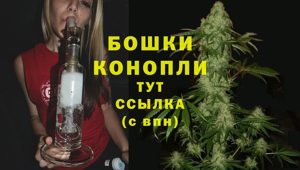 бошки Корсаков