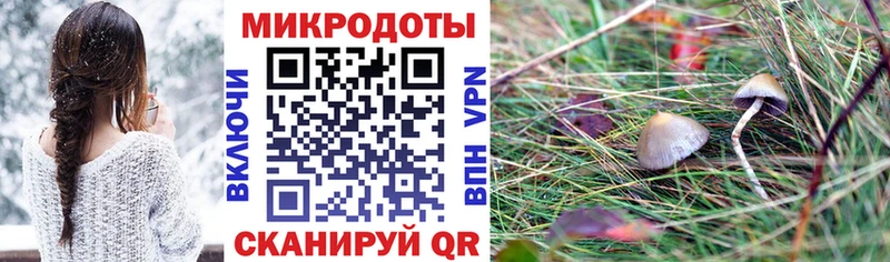 Псилоцибиновые грибы GOLDEN TEACHER  Купить  Волгореченск 